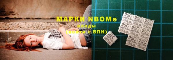 МДПВ Бородино