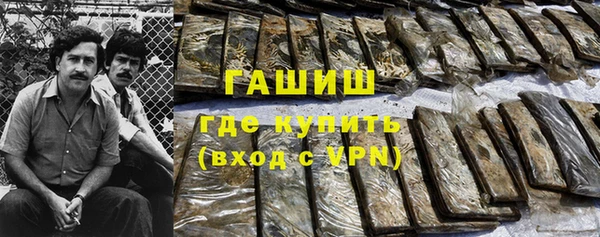 МДПВ Бородино