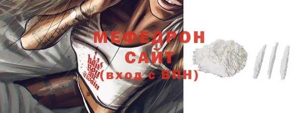 МДПВ Бородино