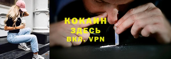 МДПВ Бородино