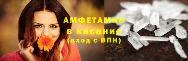 МДПВ Бородино