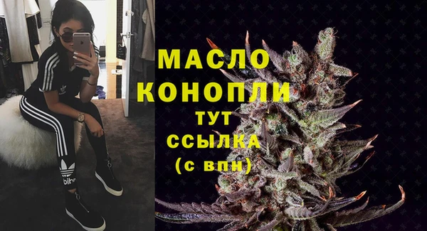 МДПВ Бородино