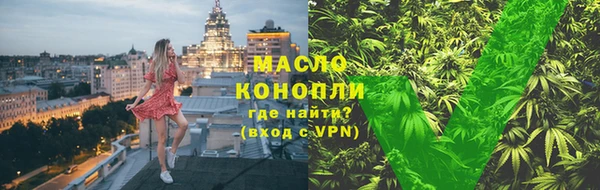 МДПВ Бородино