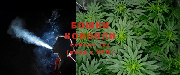 МДПВ Бородино