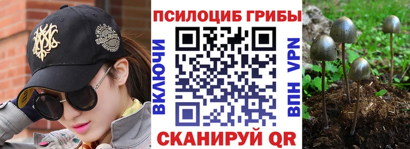 даркнет сайт  Новосокольники  Галлюциногенные грибы мухоморы 